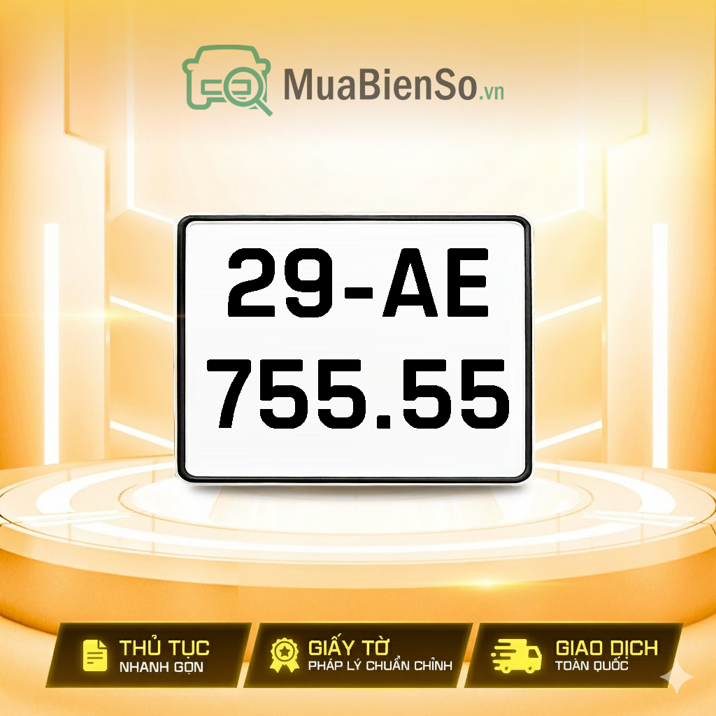 29AE-755.55