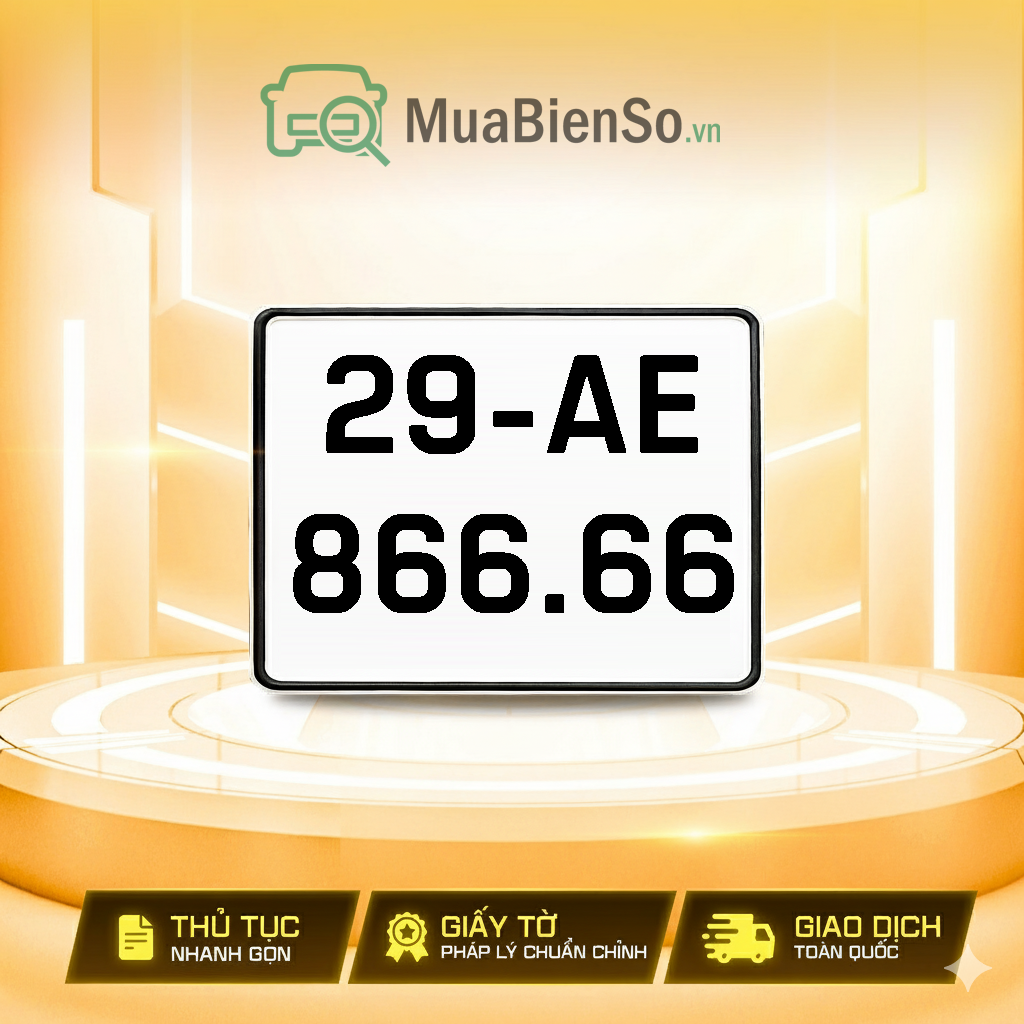 29AE-866.66