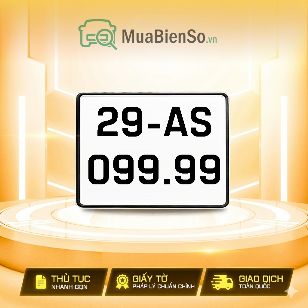 29AS-099.99