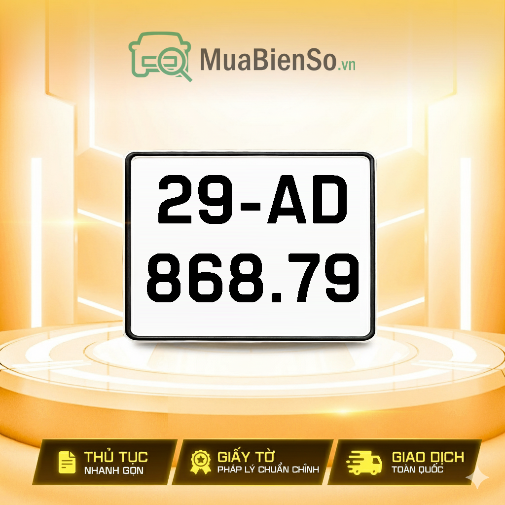 29AD-868.79