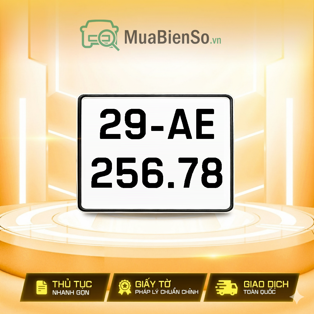 29AE-256.78