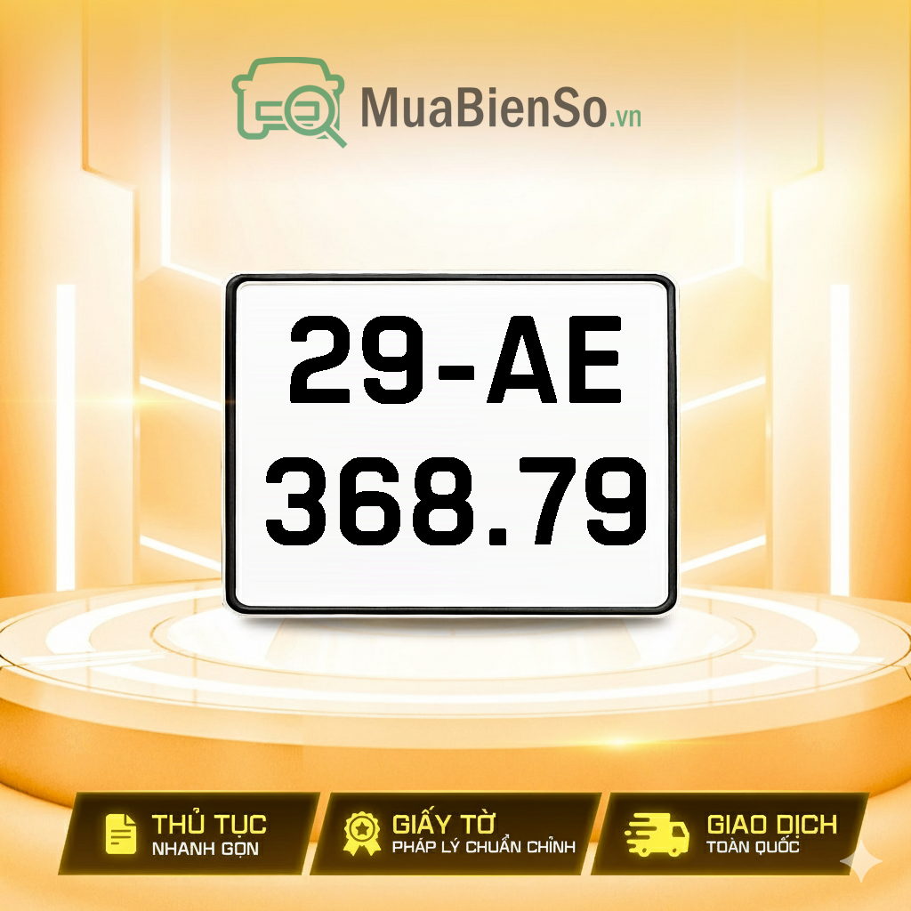 29AE-368.79