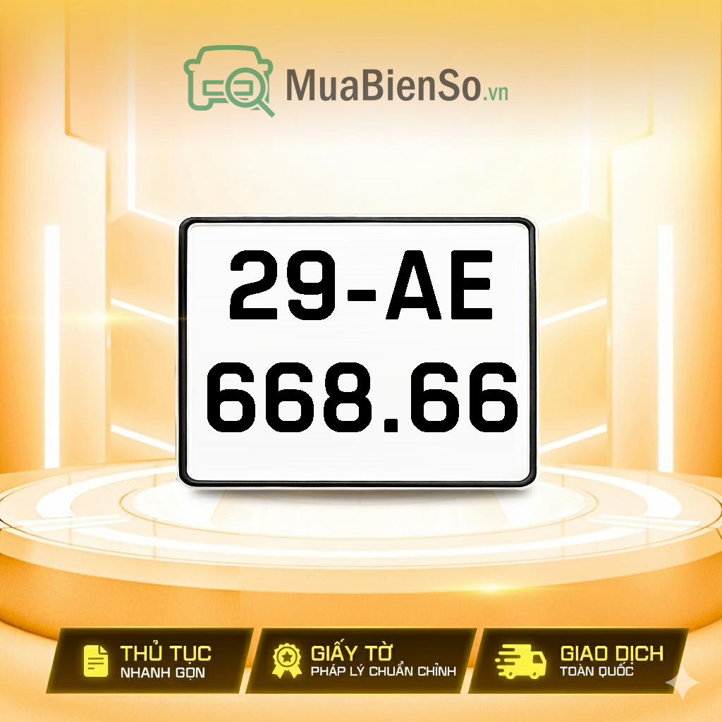 29AE-668.66