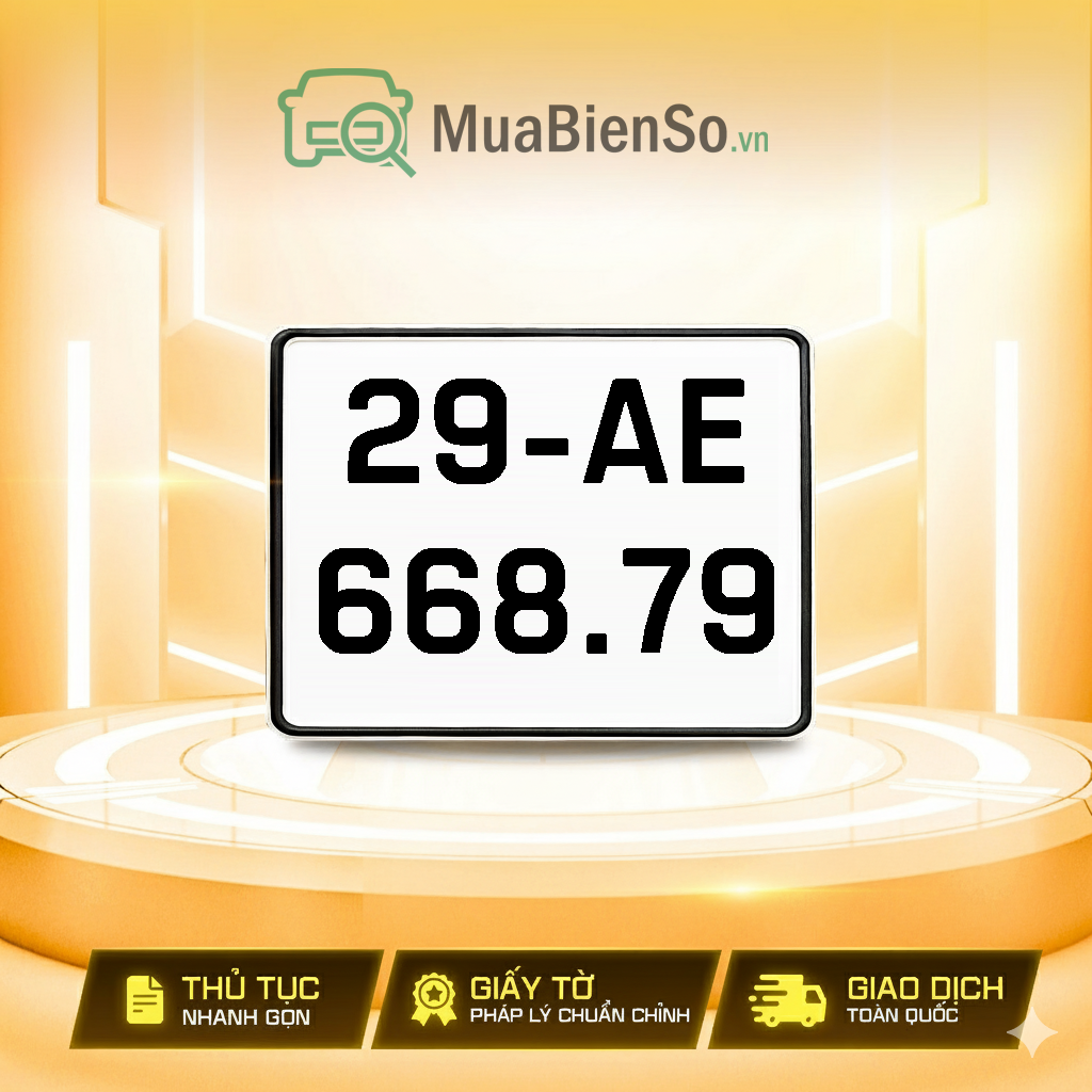 29AE-668.79