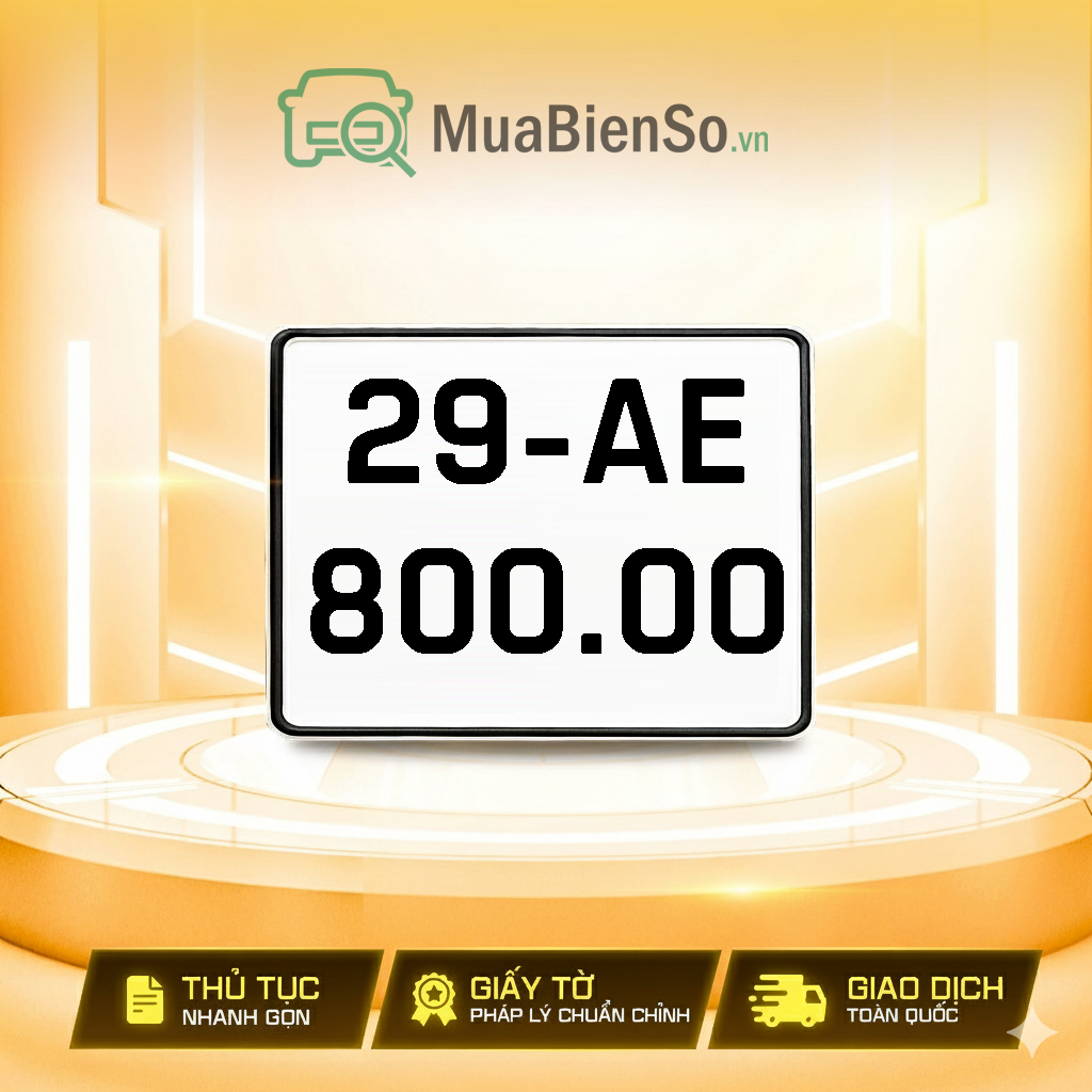 29AE-800.00