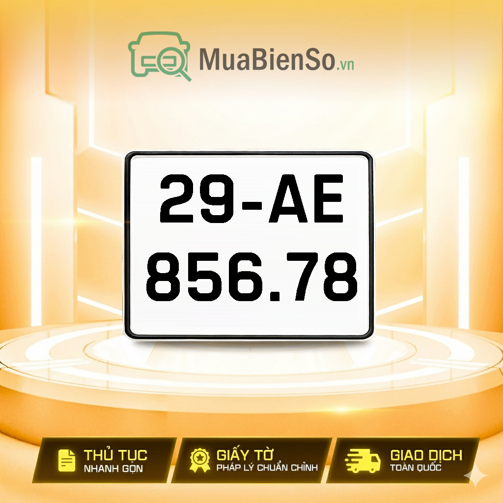 29AE-856.78