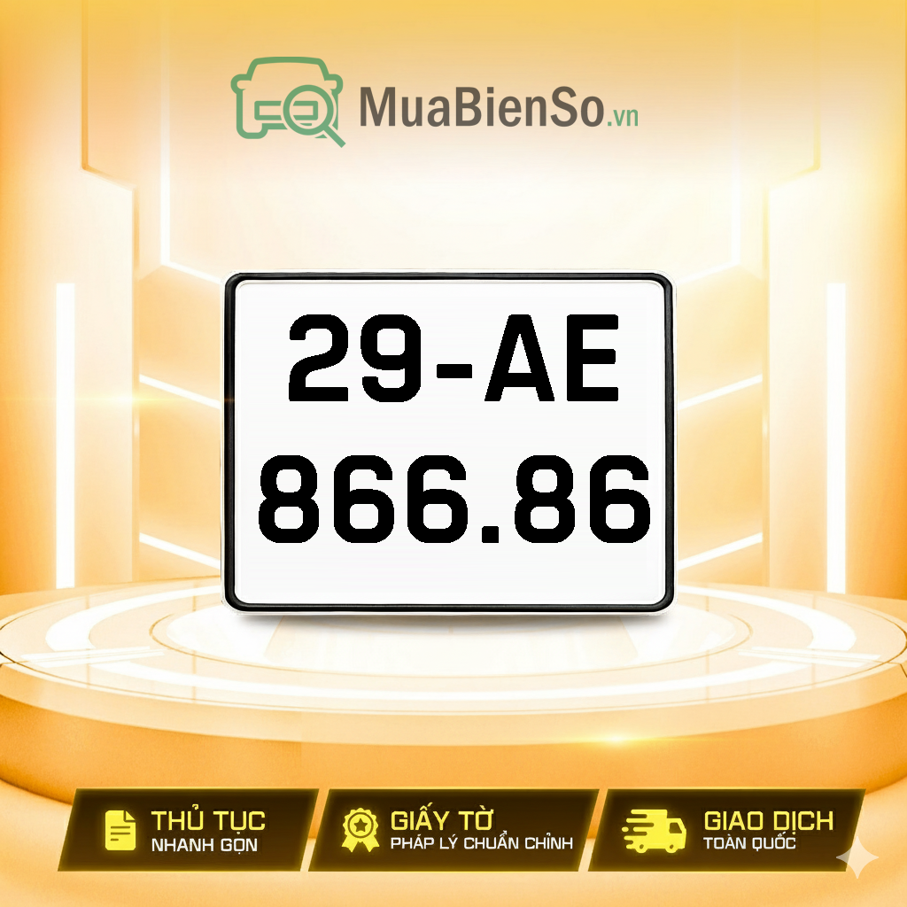 29AE-866.86