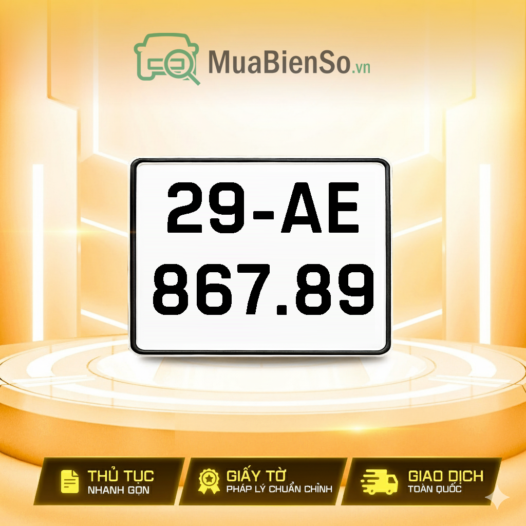 29AE-867.89