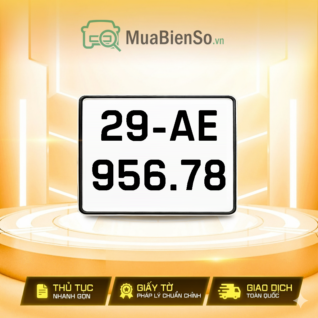 29AE-956.78