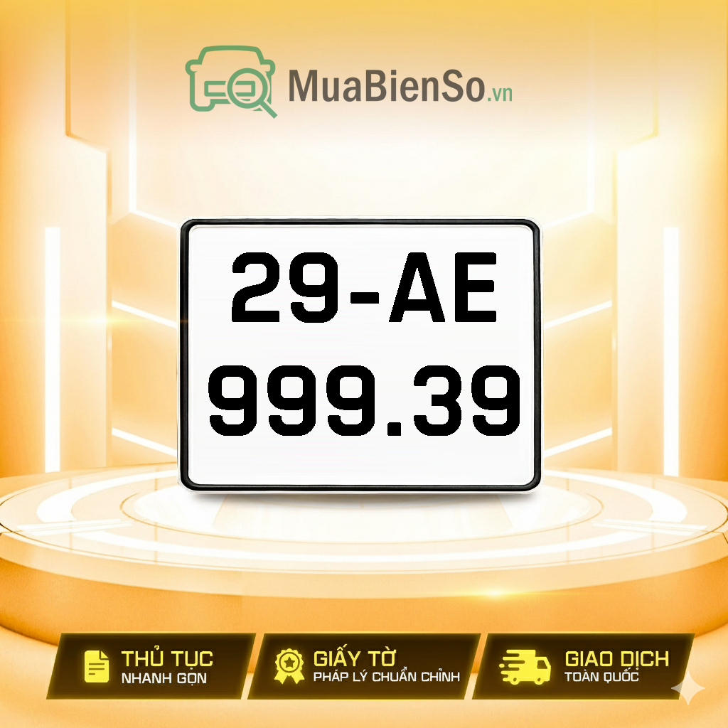 29AE-999.39