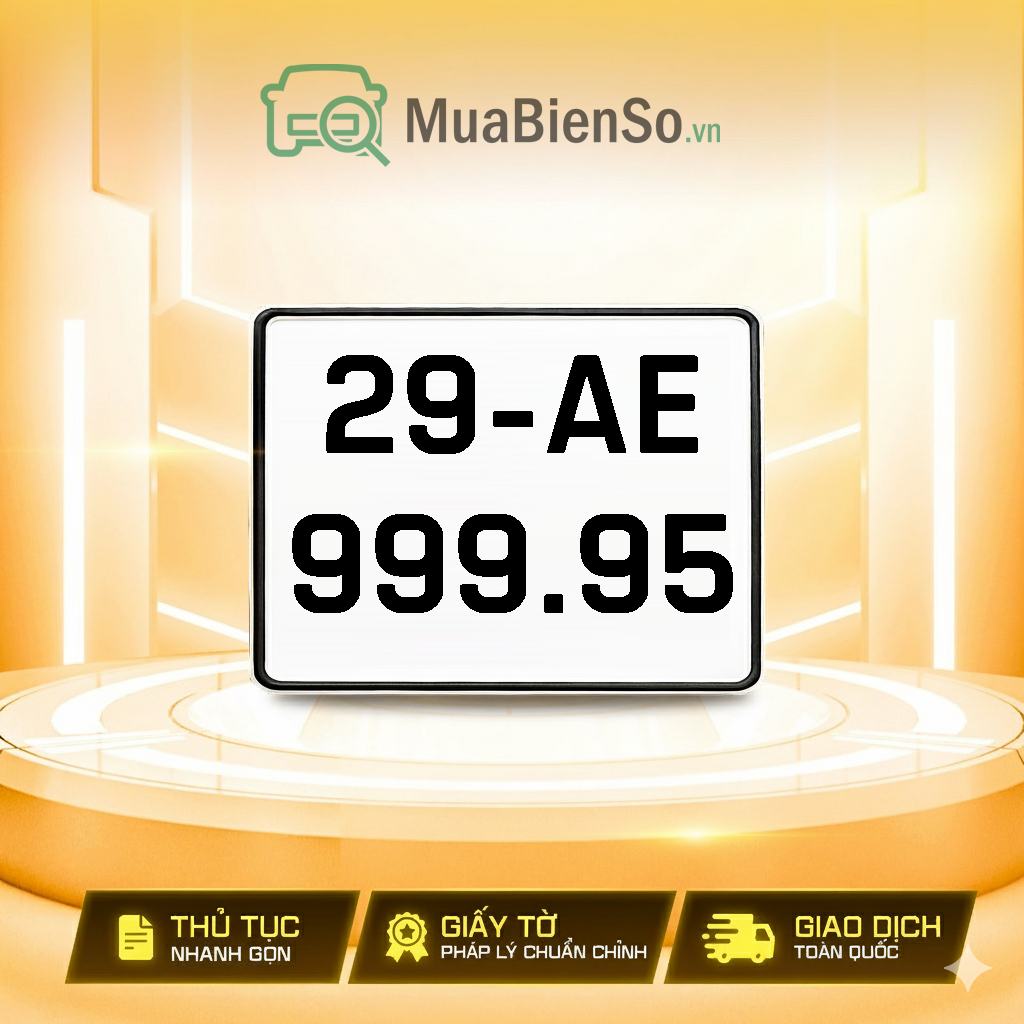 29AE-999.95