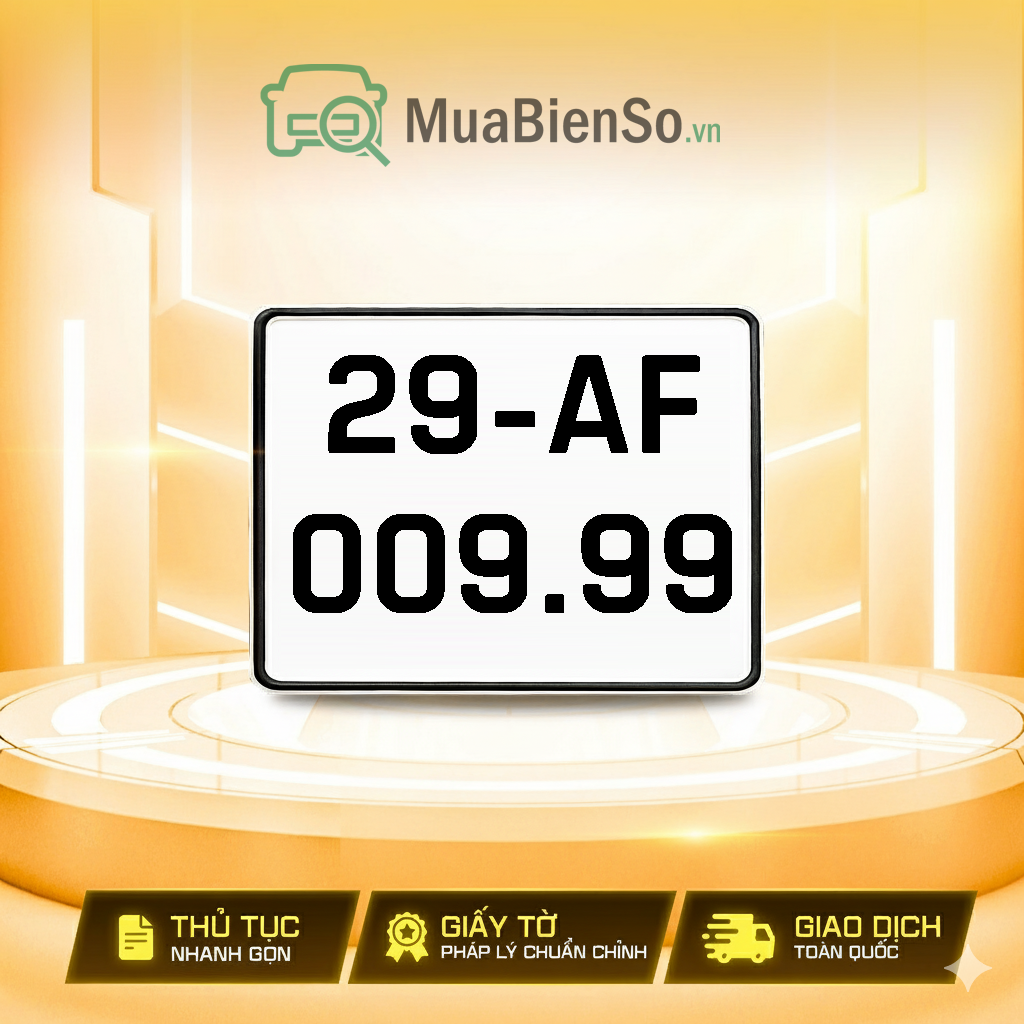 29AF-009.99