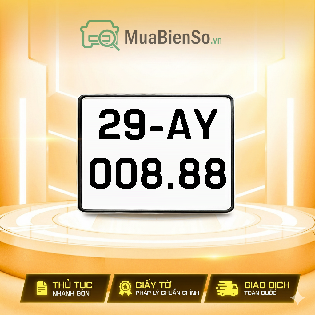 29AY-008.88